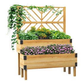 2 Tier Raised Garden Bed with Trellis, Wooden Elevated Planter Box with Legs and Metal Corners, for Vegetables, Flowers, Herbs, Natural